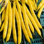 8+ Bush Beans Yellow Wax Bean Seeds organic vegetables