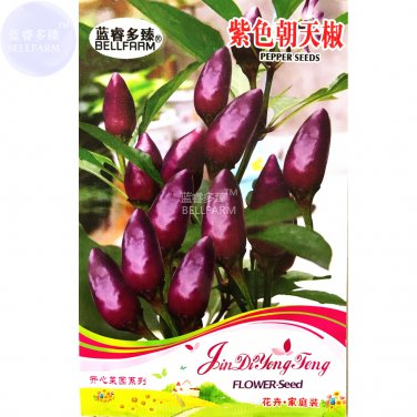 Purple Pod Peper Heirloom Violet Cluster Chilli Seeds 30 seeds