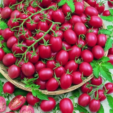 200pcs Tomato Cherry Pink Grape Seeds Heirloom Seeds