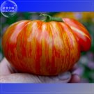Beauty King Big Tomato Seeds 100 Seeds Red Color With Golden Stripe Tasty Vegetables