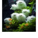 Cat's eye flower dazzle-long hair curly white flower