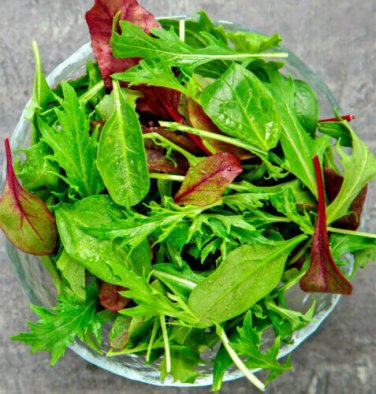 1000+ Gourmet Lettuce Blend Seeds Mixed Salad Bowl Lettuce Bulk