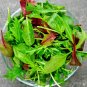 1000+ Gourmet Lettuce Blend Seeds Mixed Salad Bowl Lettuce Bulk