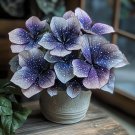 50 seeds Plum Silver Star Begonia