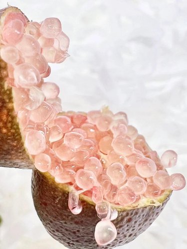 50 SEEDS Lemon Caviar Lemon Caviar Lemon Seeds red fingers