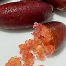 Lemon Caviar Seeds with Your fingers
