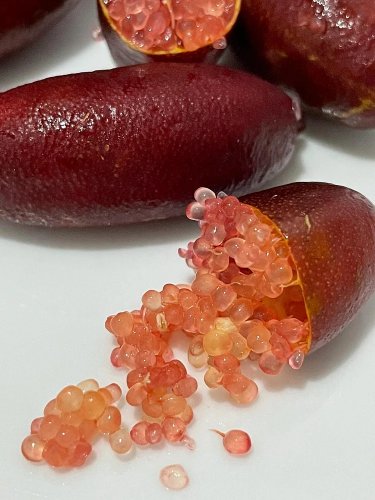 Lemon Caviar Seeds with Your fingers