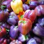 Heirloom Sweet Bell Pepper Seeds Lilac