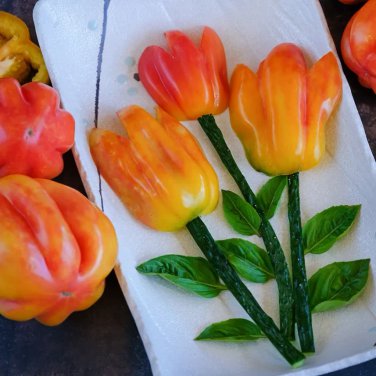 TOMATO, CALIFORNIA TULIP Seeds