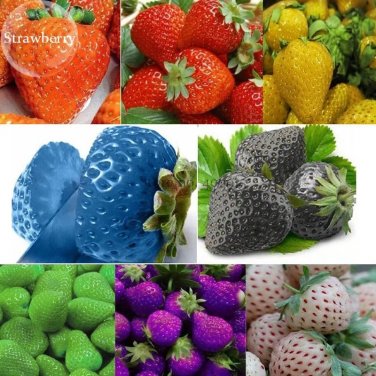Mixed 9 Types of Strawberry Fruit, 100 seeds