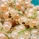 Gooseberry Seed Fruit, Juicy Currant Organic Sweet High Nutritious Seed - (Color: b)