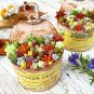 Rare Beautiful Mixed Succulents Seeds, 100pcs/pack