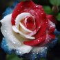 20pcs Rare Three-Color Rose Seeds for Home Potted Garden Vibrant Elegance Blooms