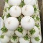 Large Round White Radish F1 Seeds