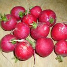 Red Cherry Radish Seeds - Fast Growing