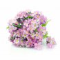 Pink Alpine Forget-Me-Not Seeds