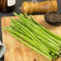 Green Asparagus Seeds - Nutrient Rich, High Fiber, Crisp Tender Shoots