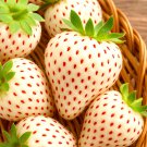 200 WHITE WONDER STRAWBERRY SEEDS