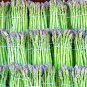 250+ MARY WASHINGTON ASPARAGUS SEEDS