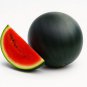 60+ SUGAR BABY WATERMELON SEEDS