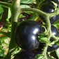75+ BLACK CHERRY TOMATO SEEDS