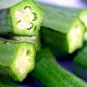 200+ CLEMSON SPINELESS OKRA SEEDS