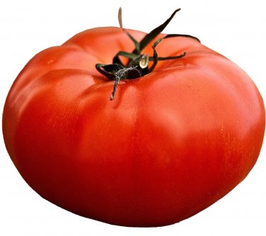 200+ TOMATO ALL-AMERICAN SEEDS GIANT BEEFSTEAK MASSIVE FRUITS