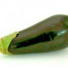 300 EGGPLANT SEEDS BLACK BEAUTY SPRING VEGETABLE GARDEN