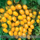 Rare 'Imperial concubine' F1 Yellow Cherry Tomato 20 Seeds