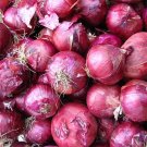 Royal Amethyst' Purple Onion Seeds 1 Bag (5 Grams / Bag)