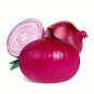 500 Premium Red Onion Seeds - Purple Skin Variety