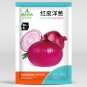 500 Premium Red Onion Seeds - Purple Skin Variety