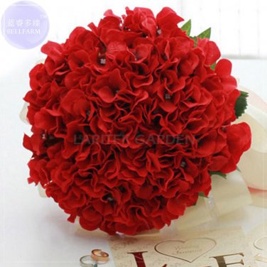 Rare Red Hydrangea Mother Seeds, Professional Pack, 15 seeds,