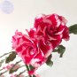 2 Seeds Adenium 'Tea' Types Red White Flower Seeds, 2 seeds, 7-layer