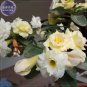 2 Seeds Adenium White Yellow Bonsai Tree Flower 4-layer