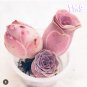 200 Mountain Rose Succulent Seeds | Greenovia Dodrentalis purple  Plant