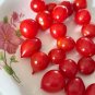 Jingfan Fenxing No.2' Tomato Seed 1 Bag (100 Seeds)