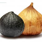 100 Chili Black Garlic Seed Japanese Rare Vegetable