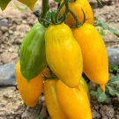 Yellow Banana Tomato 20 Seeds