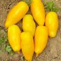 Yellow Banana Tomato 20 Seeds