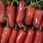 Sausage Pepper 20 Seeds