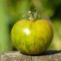 Sandy-Fleshed Cherry Tomato Seeds