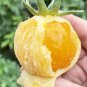 Sandy-Fleshed Cherry Tomato Seeds