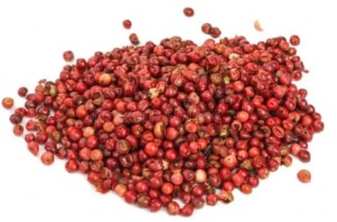 razilian Pink Pepper Seeds 50 seeds
