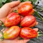 Red Pear Tomato Seeds â Specialty variety, easy to grow and manage