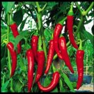 25 Gochugaru Korean Chili Pepper Seeds / Hot/Spicy/Asian Cuisine
