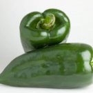 30 Poblano Pepper Seeds | Heirloom/Non-GMO | | Open Pollinated