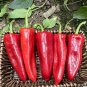 Premium Spicy Red Pickled Pepper Seeds