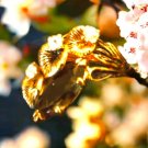 Beautiful gold filled and rhinestone with Amber ring size 7