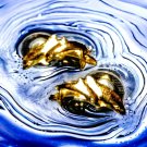 Beautiful gold vintage double dolphin earrings